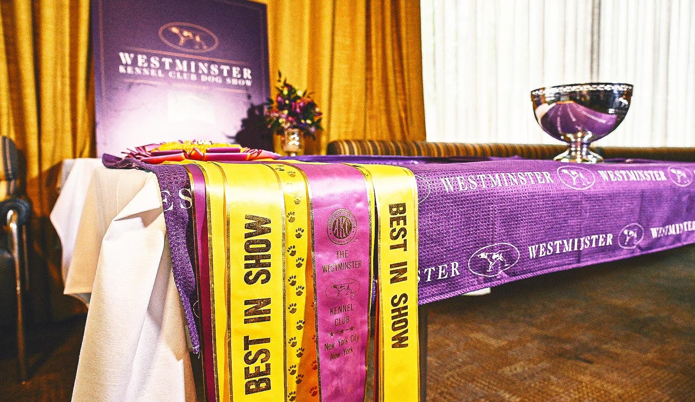 Westminster Kennel Club Dog Show：Westminster Kennel Club Dog Show获奖花絮与品种年榜一览